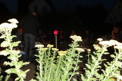 Strassenfest_2015_043