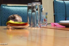 2018-Strassenfest_009